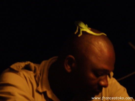 クルーガー国立公園