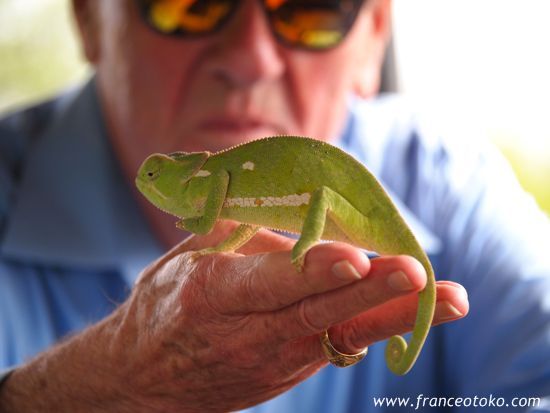 クルーガー国立公園