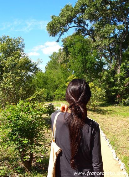 南アフリカ　インバリサファリロッジinbalisafarilodge