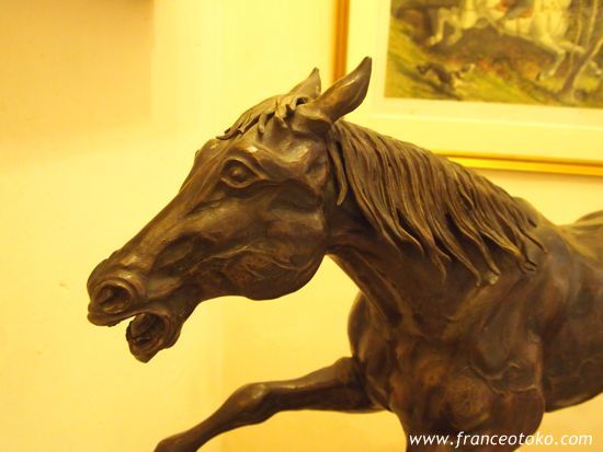 メゾンラフィット 競馬