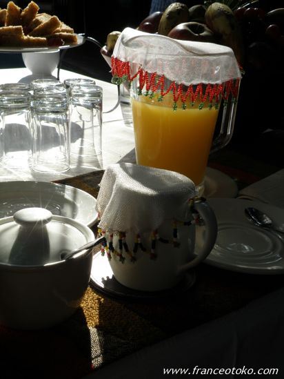 野性のキリン 南アフリカ