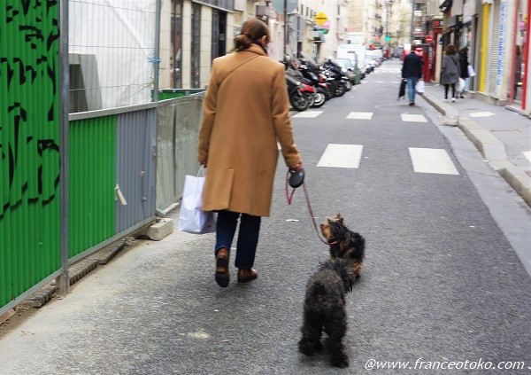 パリ　犬の散歩