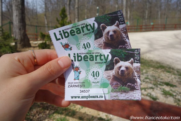 Libearty Bear Sanctuary | The Bear Sanctuary